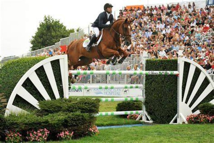2015 Hampton Classic Horse Show Grand Prix