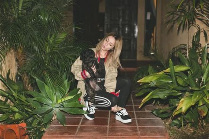 Alison Wonderland Pets