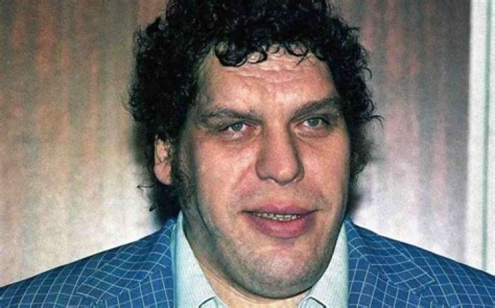 Andre’ The Giant Net Worth At Death