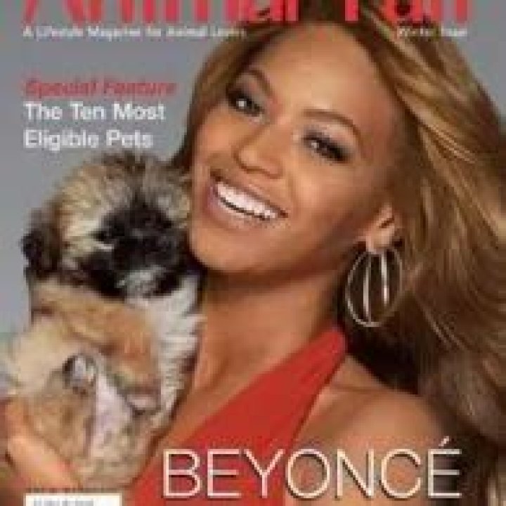Beyoncé Pets - Celebrity Pets