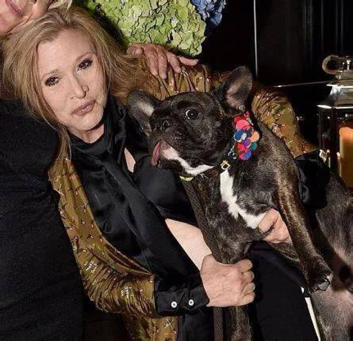 Billie Lourd Pets