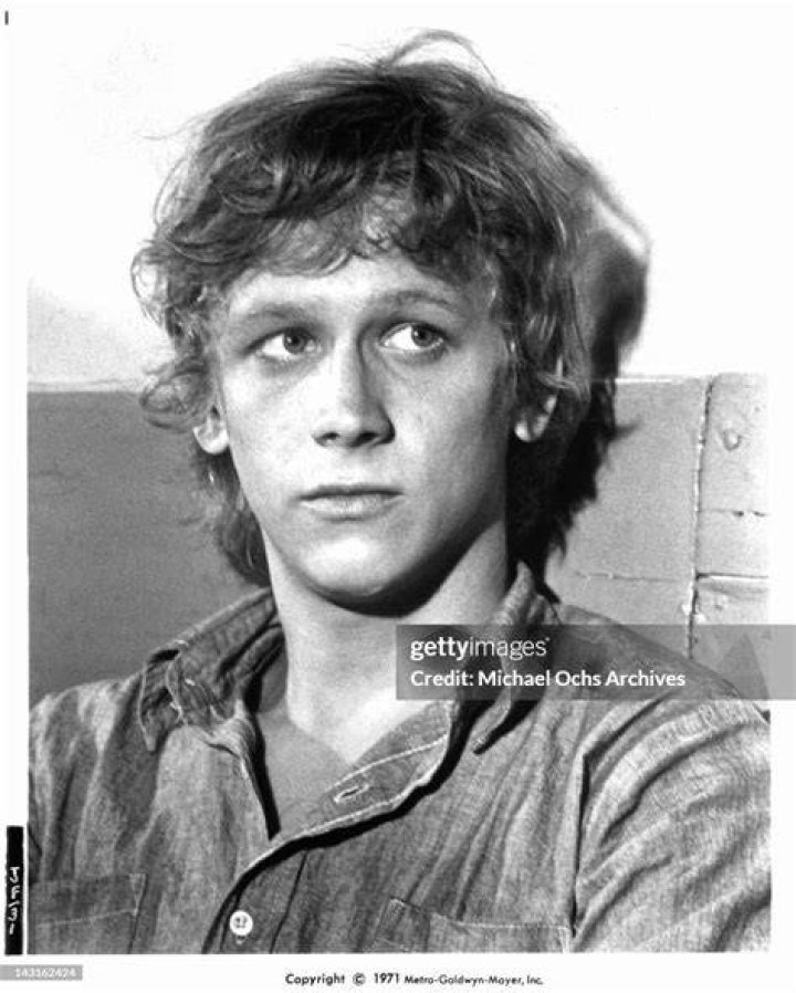 Bruce Davison Bio (Wiki) 