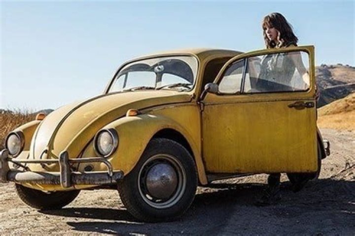 Bumblebee - Cast, Ages, Trivia