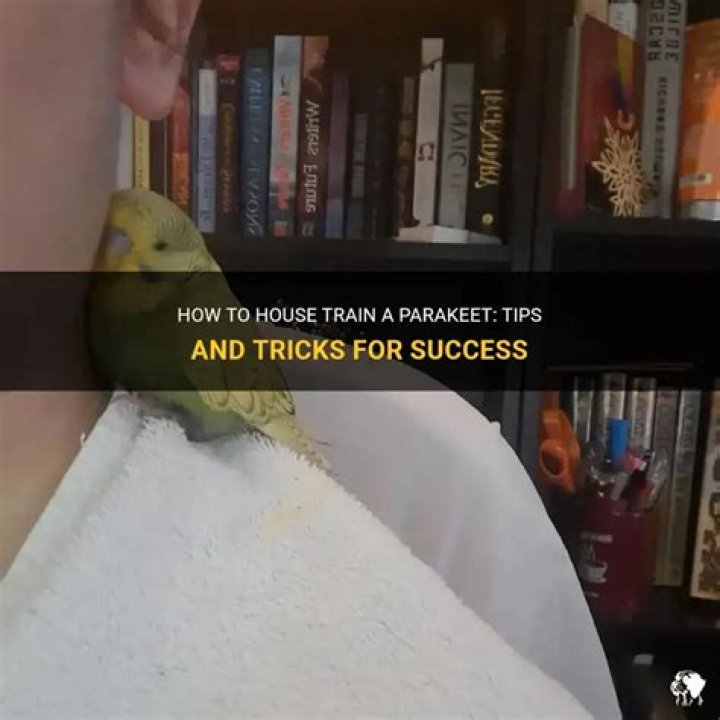 Can you house train a goose?