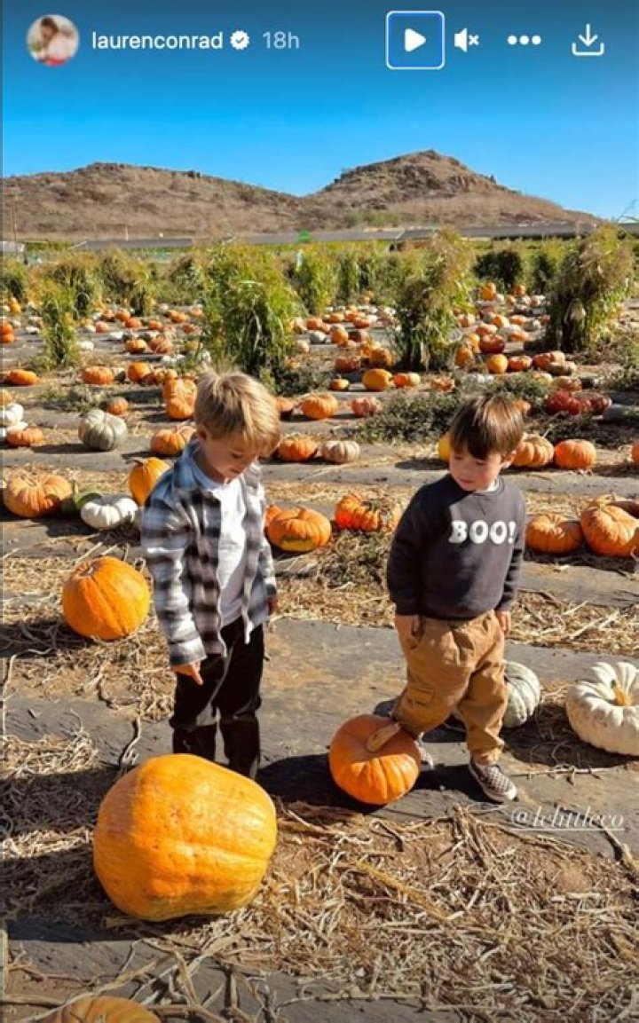 Celebs at the Hollywood pumpkin patch