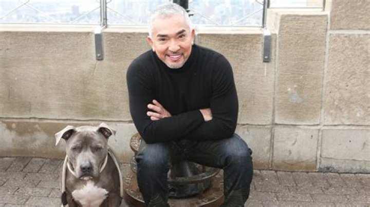Cesar Millan Cesar Millan
