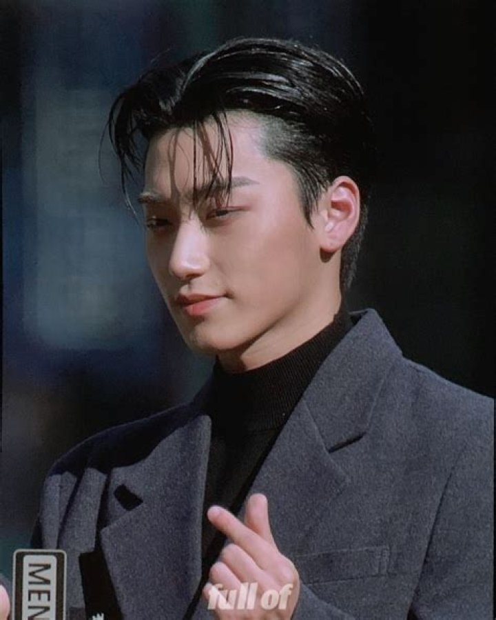 Choi San Bio (Wiki) 