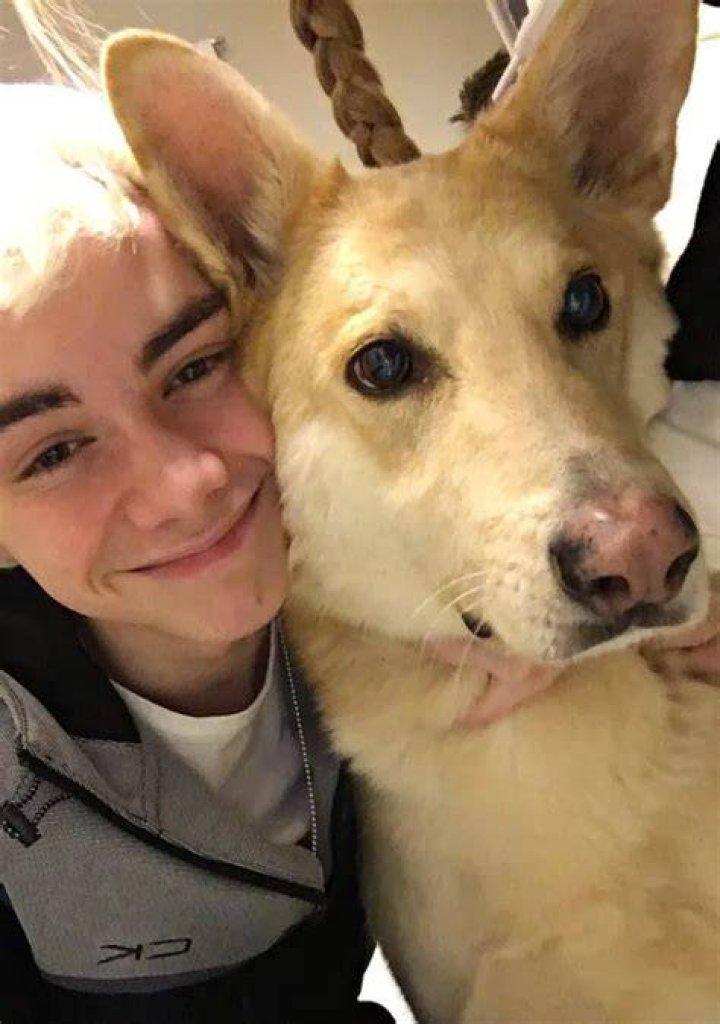 Corbyn Besson Pets