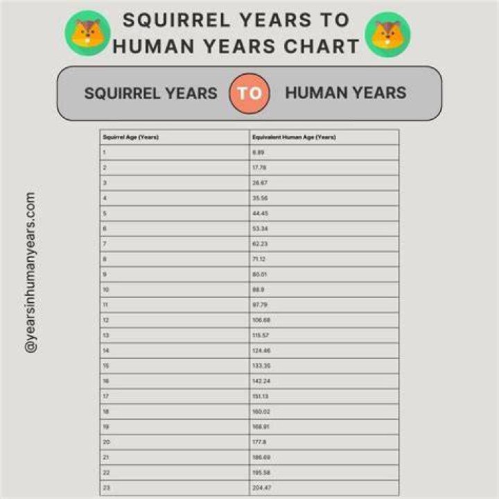 Dead Squirrel - Age, Family, Bio