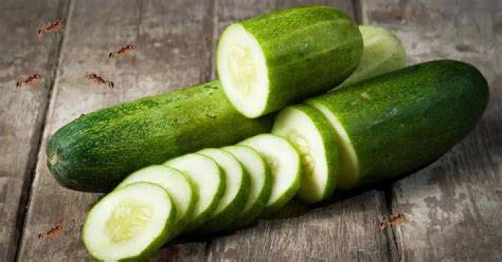Do cucumbers keep ants away?