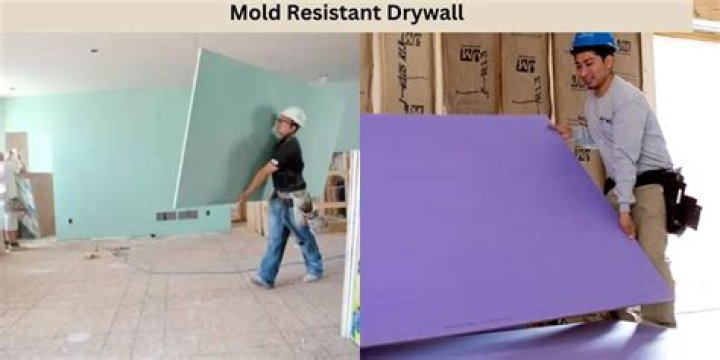 Do I need mold resistant drywall in basement?