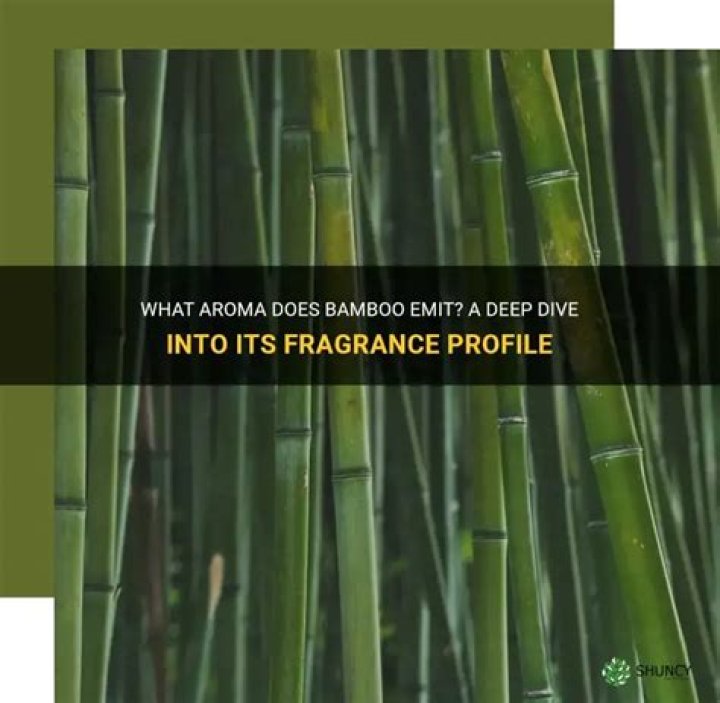 Does bamboo have a scent?