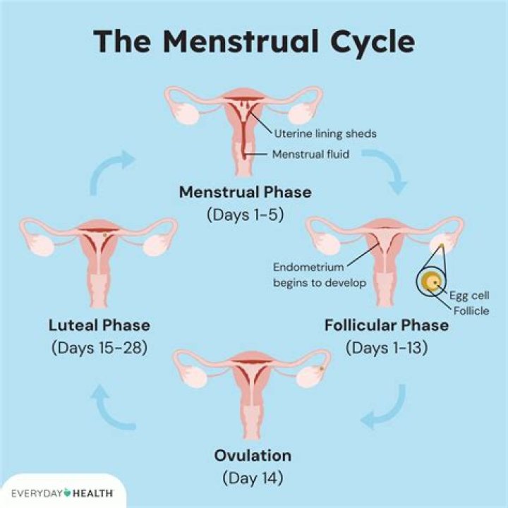 Does detox affect menstrual cycle?