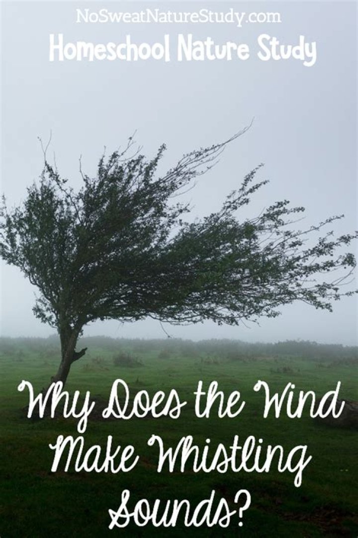 Does whistling attract wind?