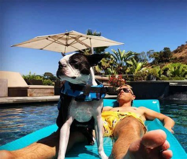 Dominic Howard Pets