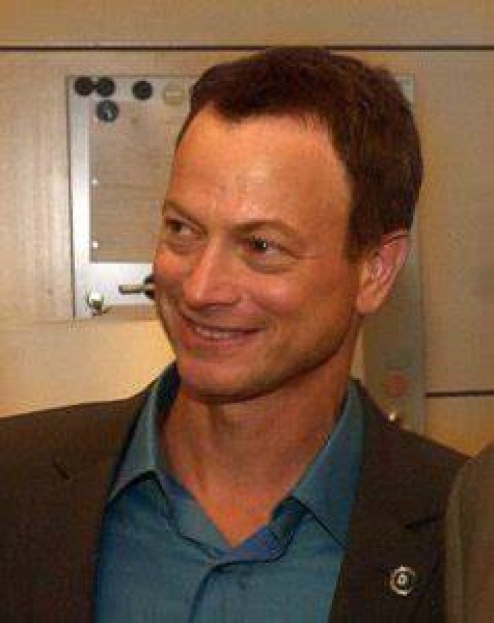 Gary Sinise Bio (Wiki) 