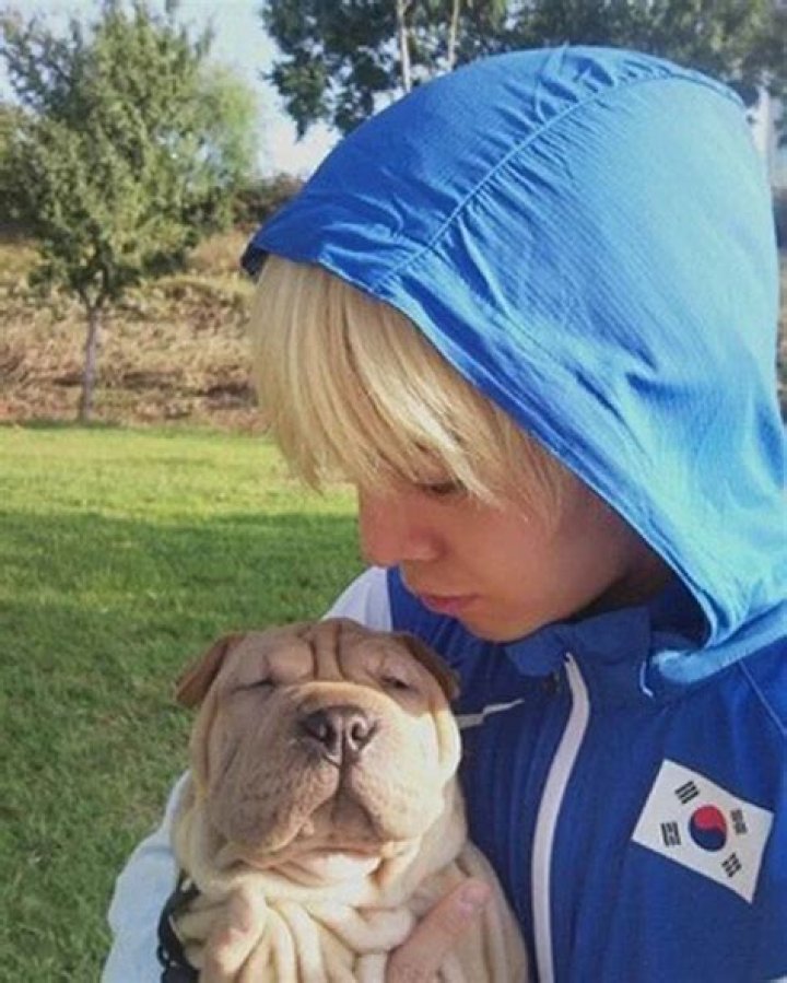 G-Dragon Pets