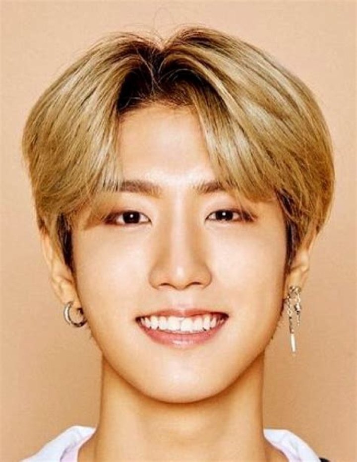 Han Jisung Bio (Wiki) 