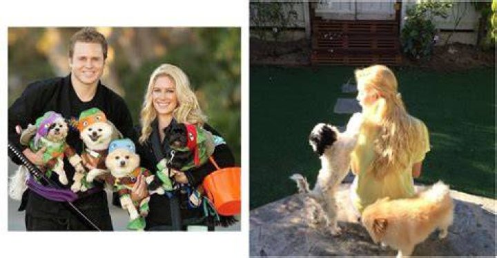 Heidi Montag Pets