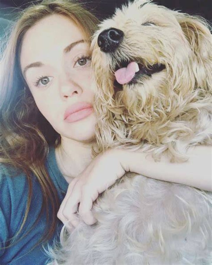 Holland Roden Pets