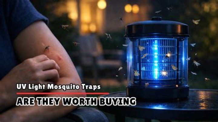 How do mosquito clickers work?