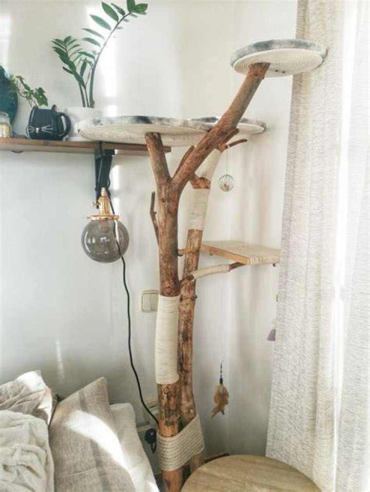 How do you make a cat tree branch?