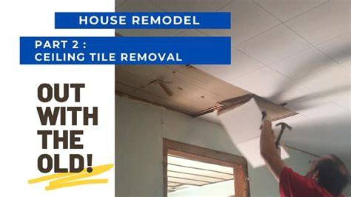 How do you remove ceiling Max tiles?