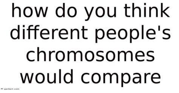 How do you think different people’s chromosomes would compare?
