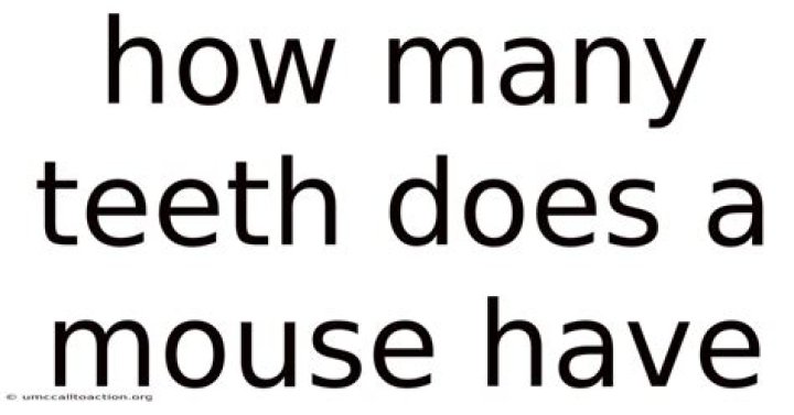 How many teeth does a mouse have?