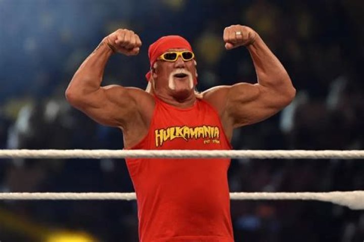 Hulk Hogan Hulk Hogan