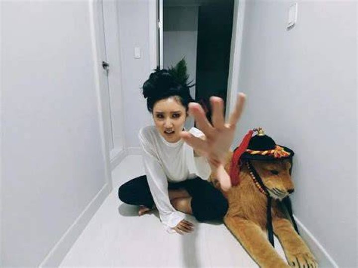 Hwasa Pets