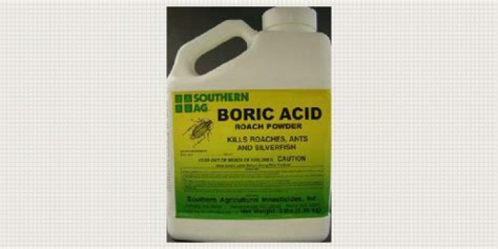 Is boric acid harmful to birds?