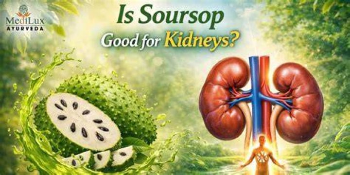 Is soursop good for kidneys?