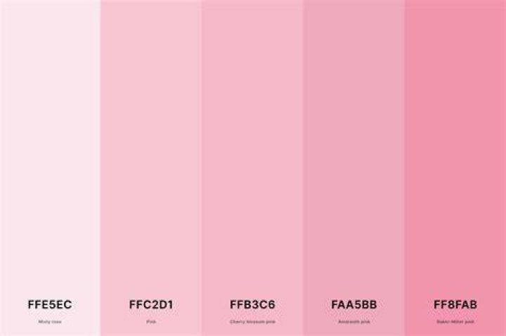 Is the color rose pink?