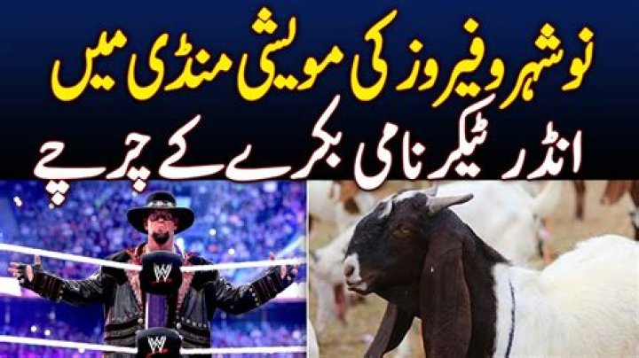 Is Undertaker A GOAT?