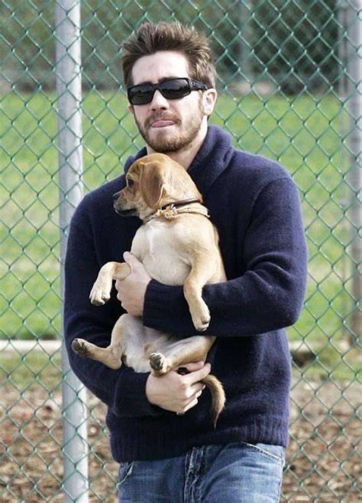 Jake Gyllenhaal Pets