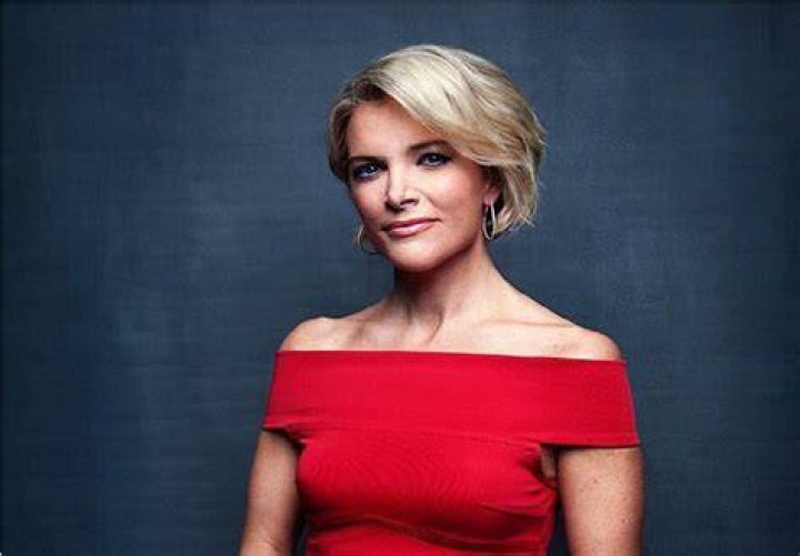 Megyn Kelly Bio (Wiki) 