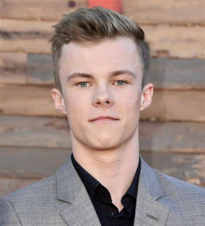 Nicholas Hamilton Bio (Wiki) 