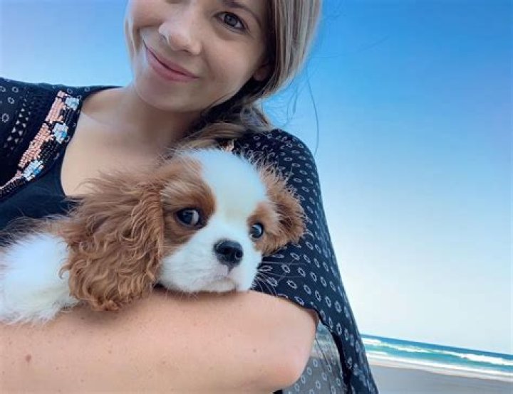 Piggy and Stella Instagram