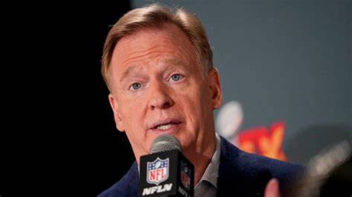 Roger Goodell photo 3