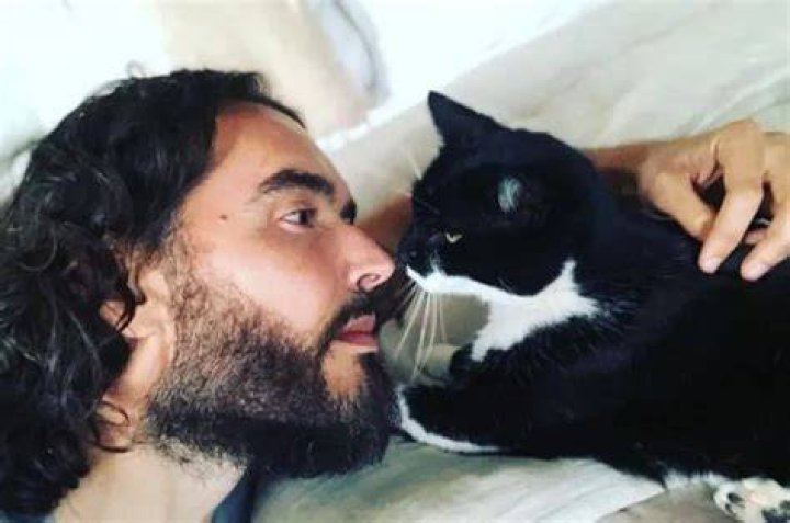Russell Brand Pets
