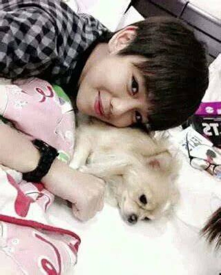 Third Lapat Pets