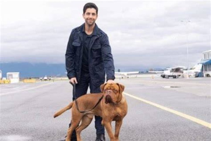 Turner & Hooch - Cast, Ages, Trivia