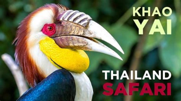What animals are native to Thailand?