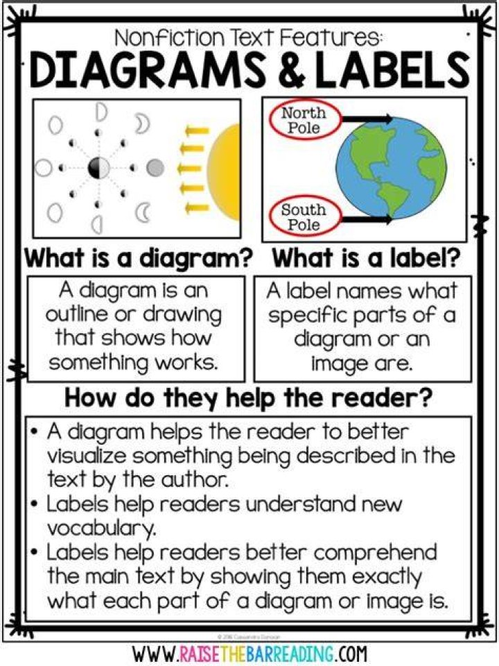 What are labels in text features?