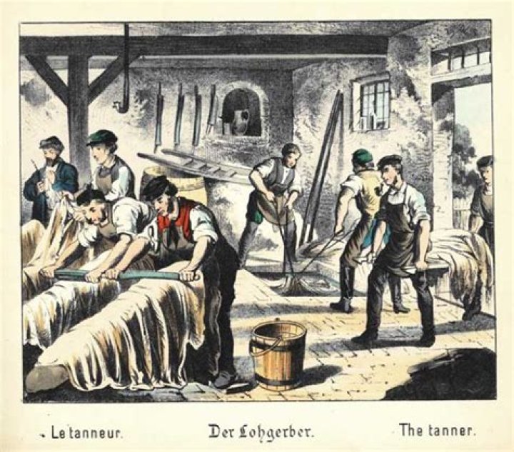 What did a tanner do in Colonial times?
