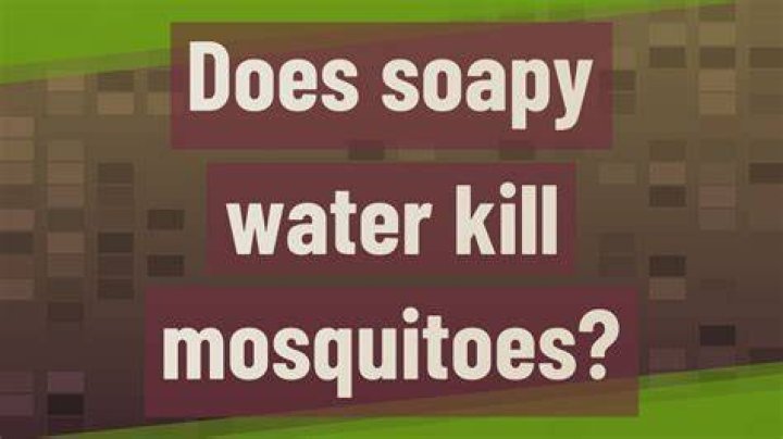 What does soapy water do to mosquitoes?