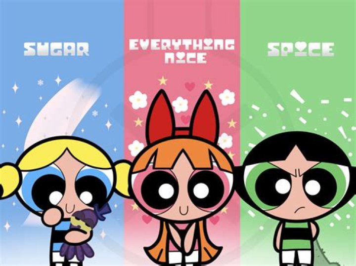 What does sugar spice and everything nice mean?