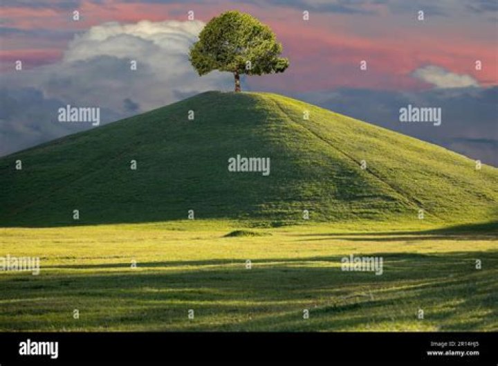 What is a uniform landscape?