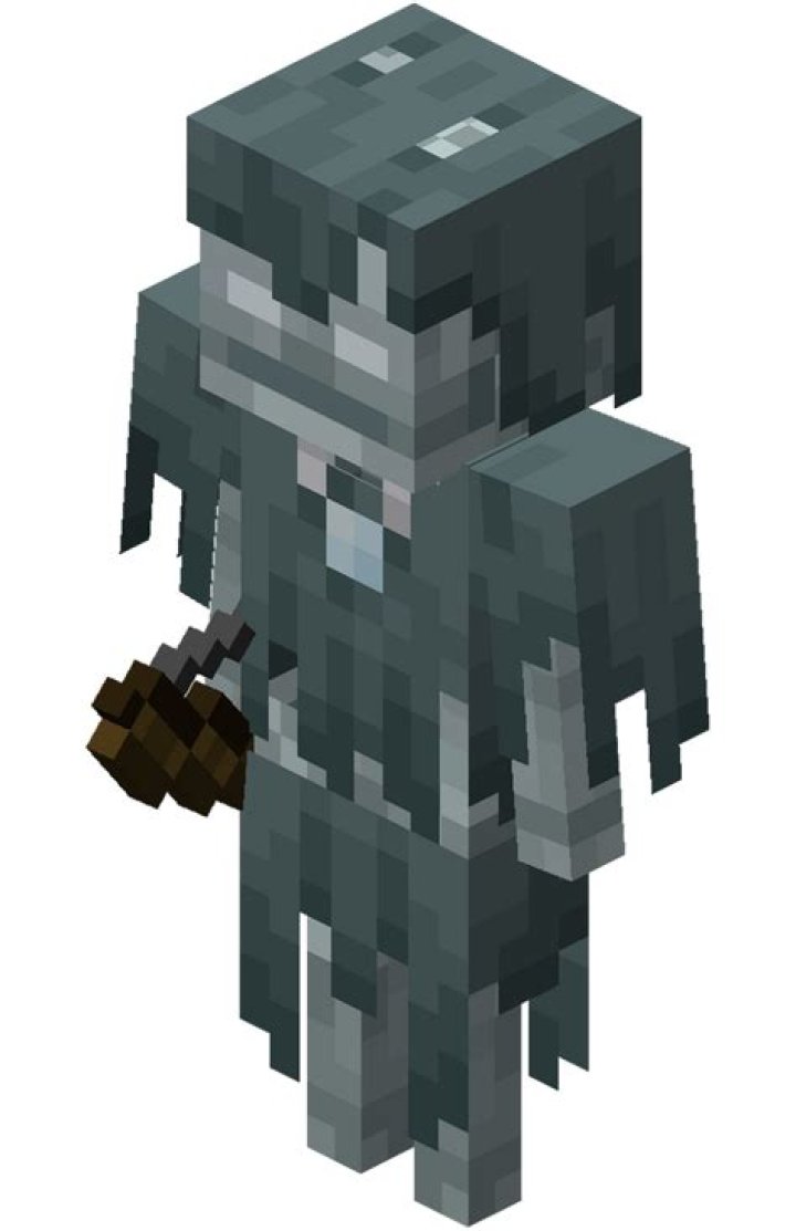 What is Stray in Minecraft?